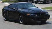 Black Mustang